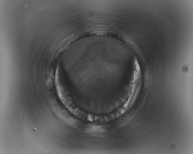 X0000114620073200911171107