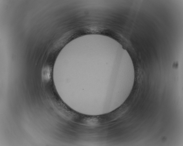 X0000114620075200911171107