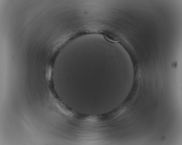 X0000114620076200911171107