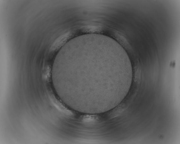 X0000114620077200911171107