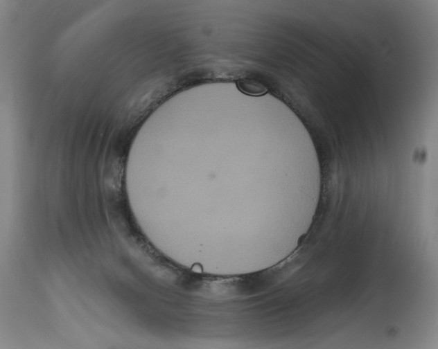 X0000114620078200911171107