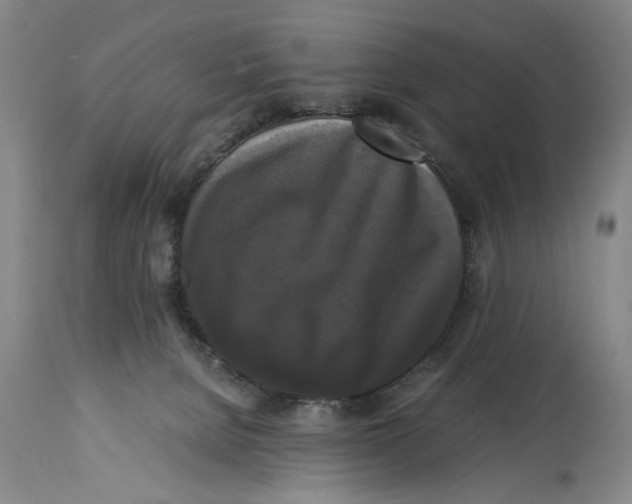 X0000114620080200911171107