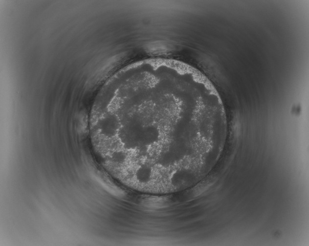 X0000114620081200911171107