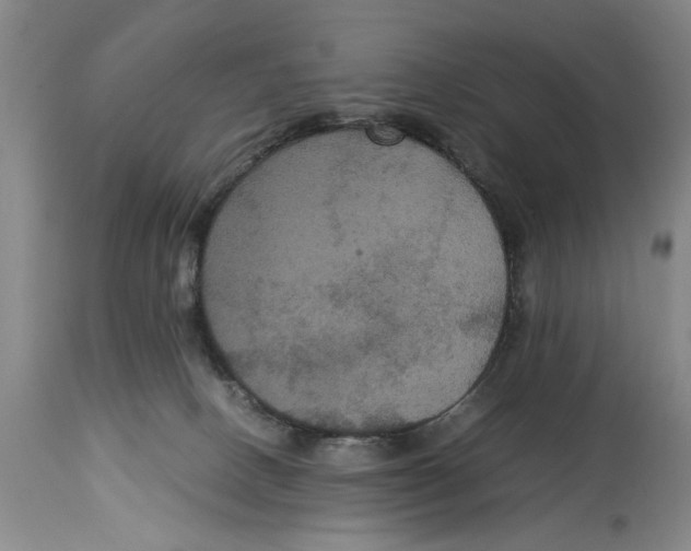 X0000114620082200911171107