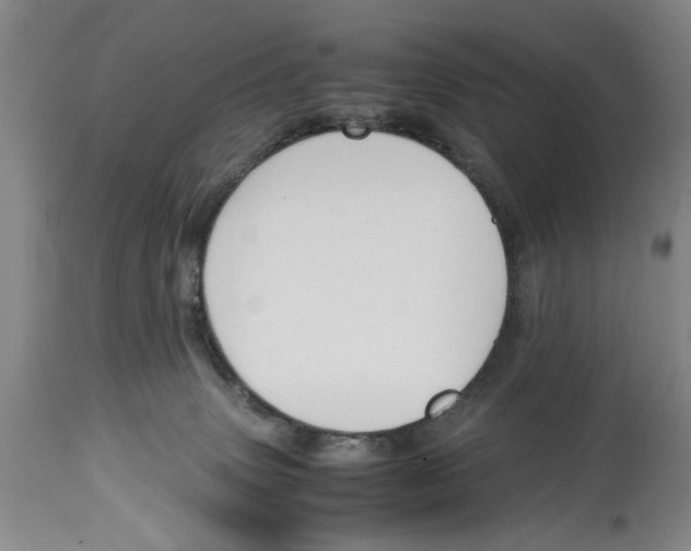 X0000114620083200911171107