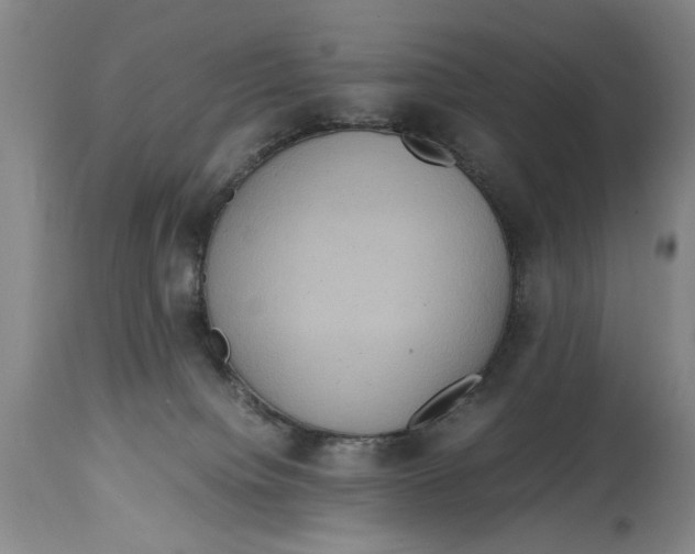 X0000114620084200911171107