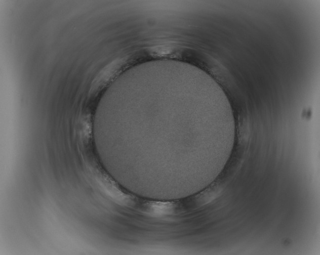 X0000114620085200911171107