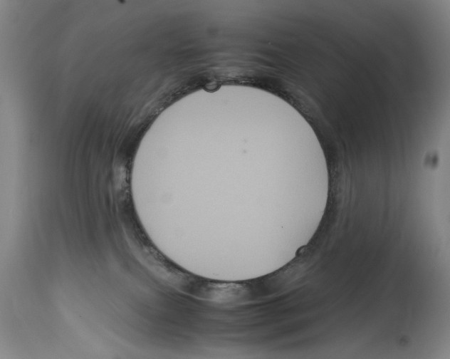 X0000114620087200911171107