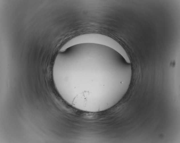 X0000114620088200911171107