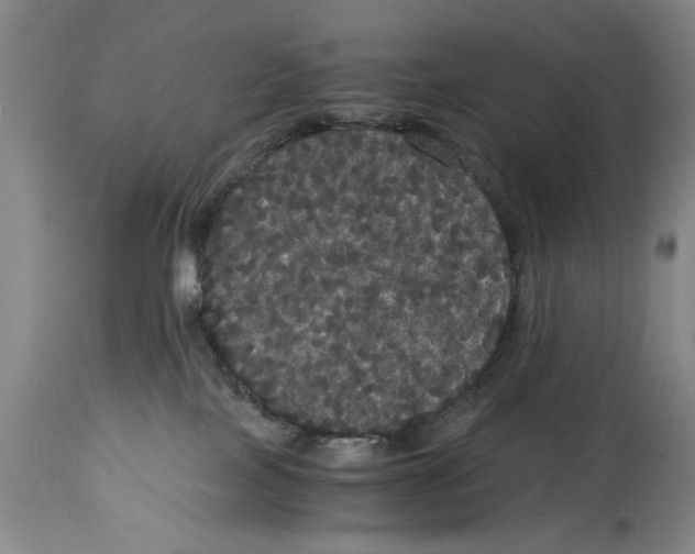 X0000114620089200911171107