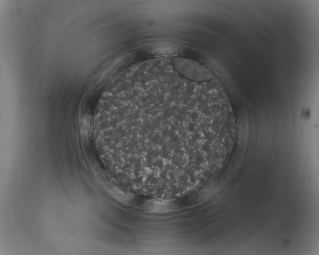 X0000114620093200911171108