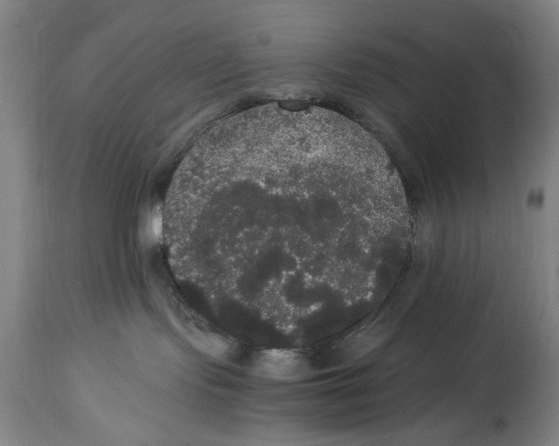 X0000114620095200911171108