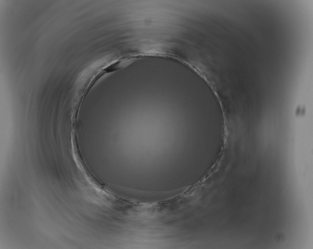 X0000114620097200911171107