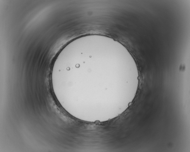 X0000114620098200911171107