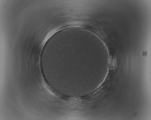 X0000114620099200911171107