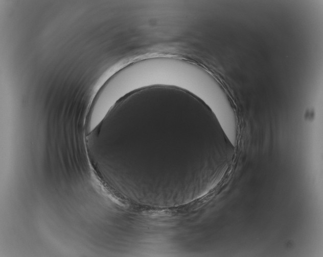 X0000114620100200911171107