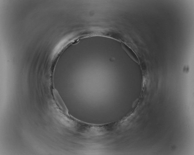 X0000114620101200911171107