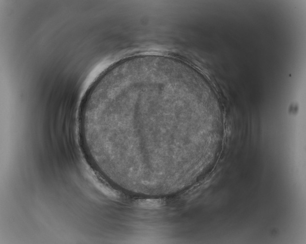 X0000114620102200911171107