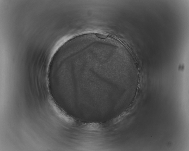 X0000114620104200911171107