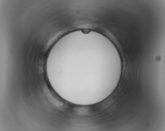 X0000114620106200911171107