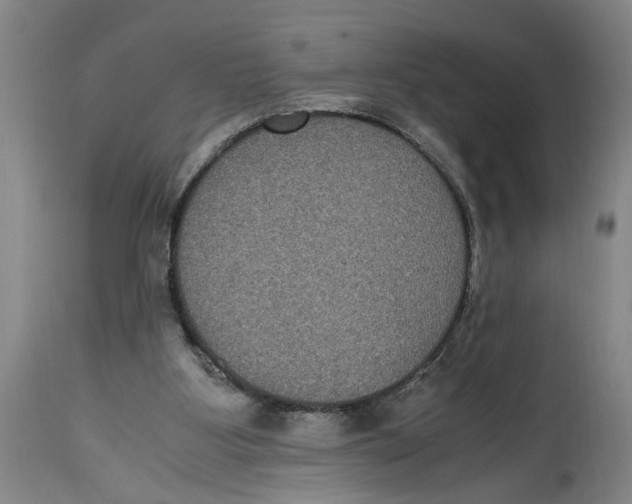 X0000114620107200911171106