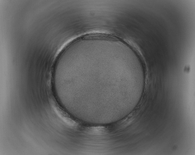 X0000114620108200911171106