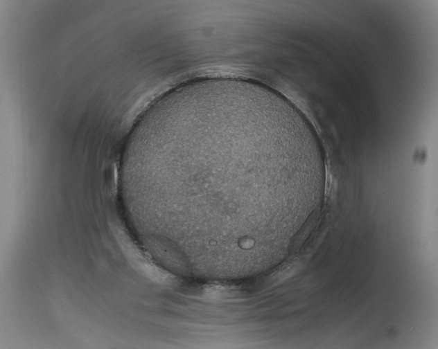 X0000114620109200911171106