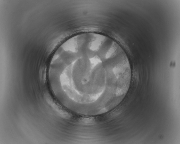 X0000114620110200911171106