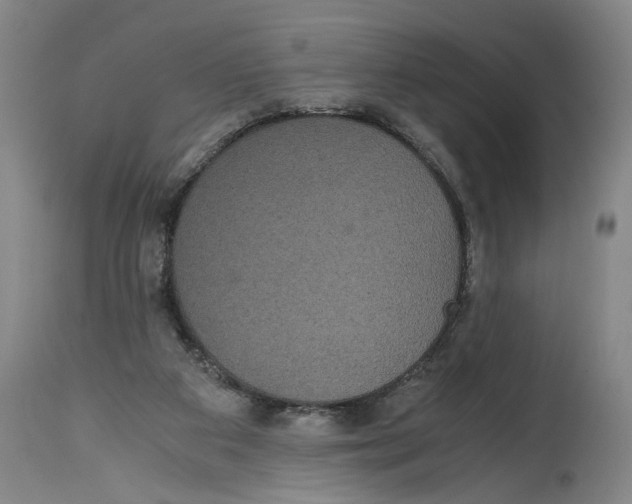 X0000114620113200911171106