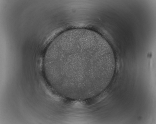 X0000114620115200911171106