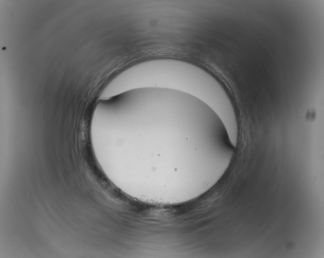 X0000114620117200911171106