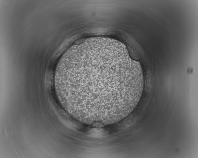 X0000114620119200911171106