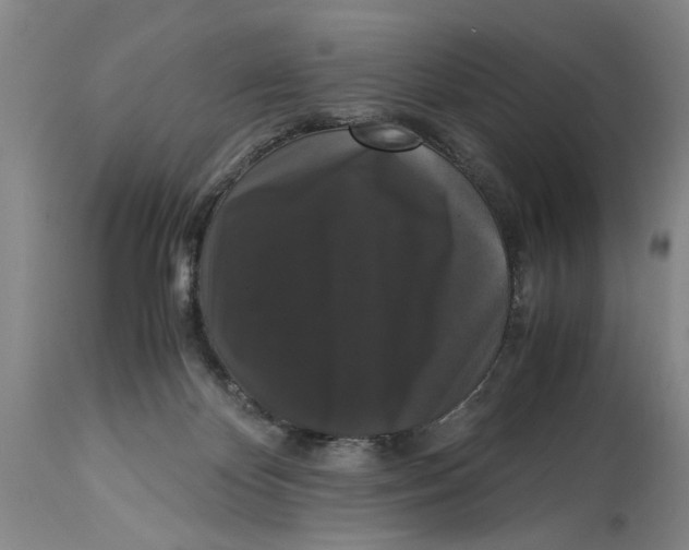 X0000114620124200911171106