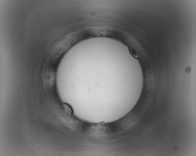 X0000114620125200911171106