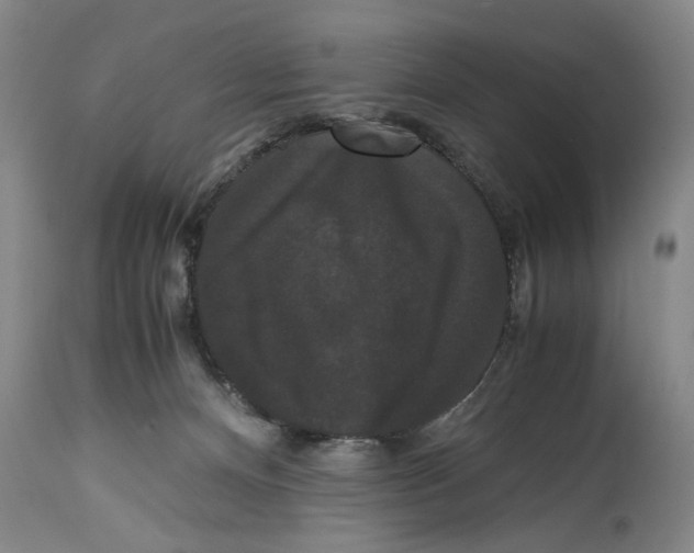 X0000114620128200911171106