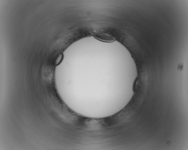 X0000114620129200911171106