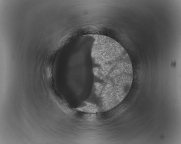 X0000114620131200911171106