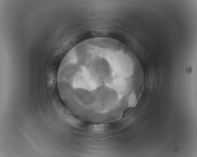 X0000114620134200911171106