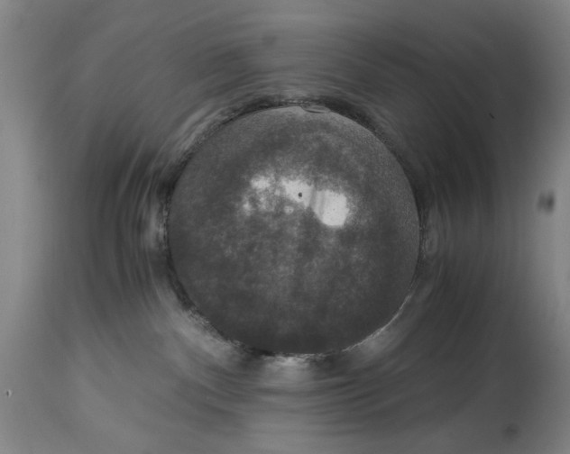 X0000114620140200911171106