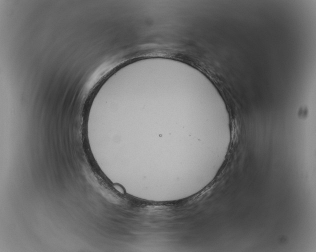 X0000114620150200911171105