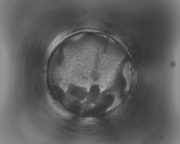 X0000114620151200911171105