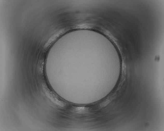 X0000114620153200911171105