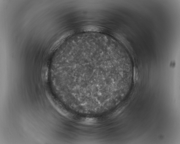 X0000114620157200911171105