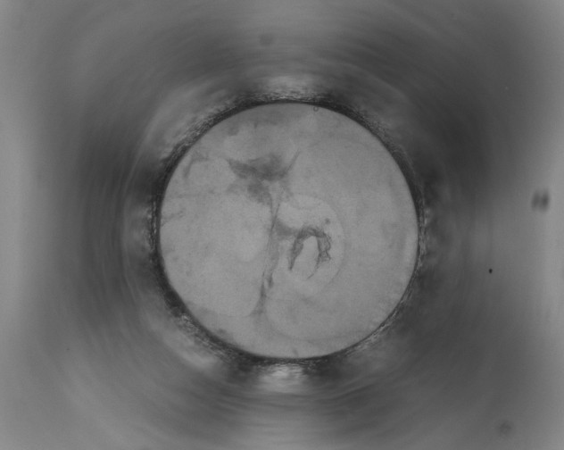 X0000114620162200911171105