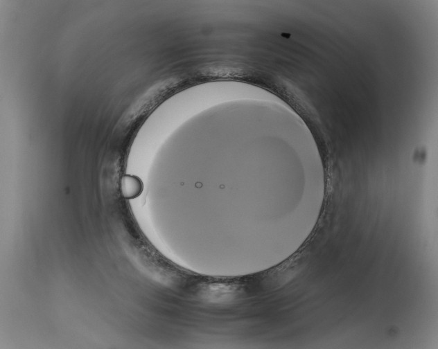 X0000114620163200911171105