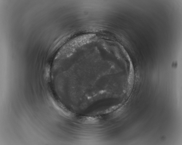 X0000114620166200911171105