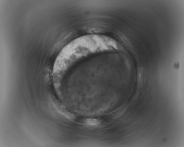 X0000114620169200911171105