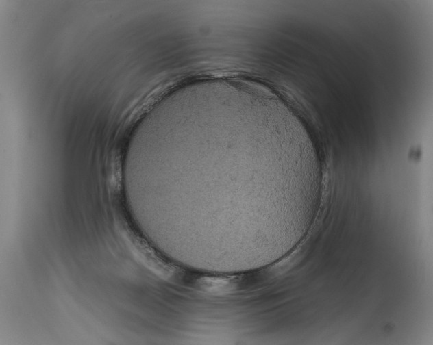 X0000114620170200911171105