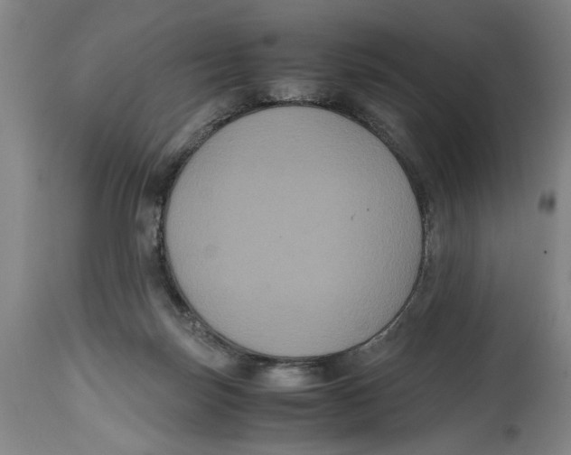 X0000114620171200911171106