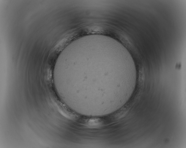 X0000114620173200911171106